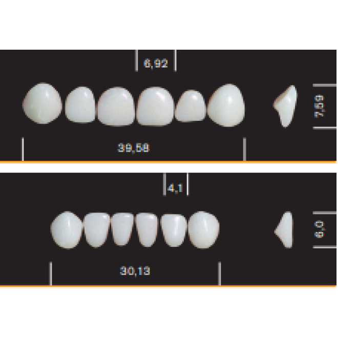 Bambino Tooth Anteriors (6)