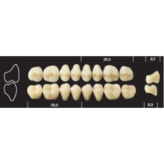 Major Plus / Major Plus Posteriors (8)